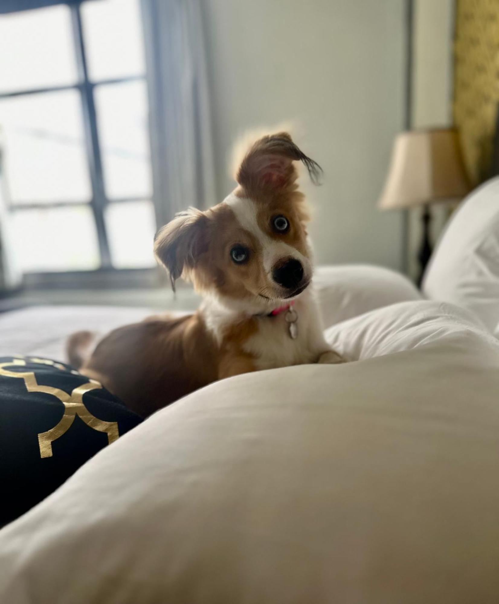 Latchis Hotel ブラトルバラ エクステリア 写真